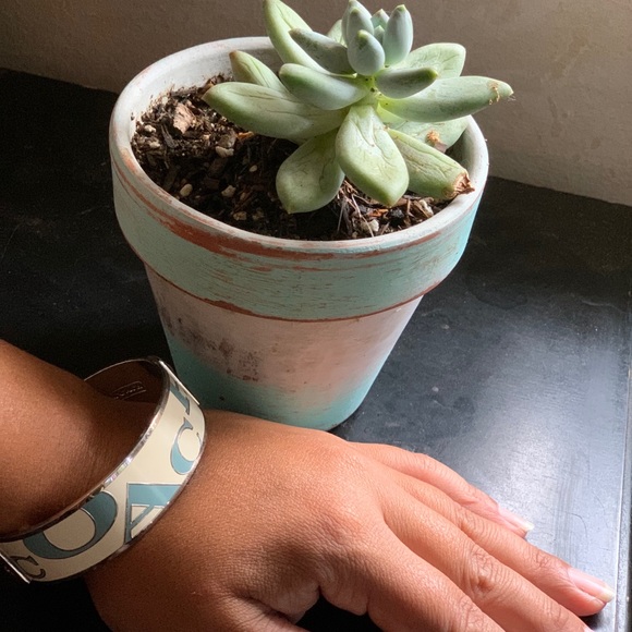 Coach Bracelet - Picture 2 of 4